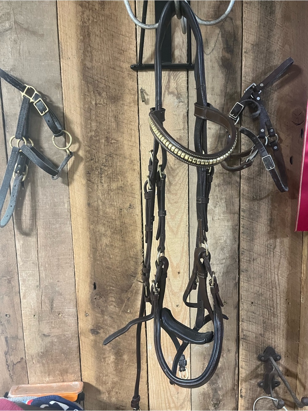 Lumiere Dallas bridle full